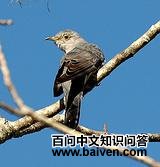 �����жž�