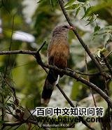 ����ؾ���