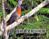 ����ؾ���