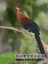 �����ؾ���