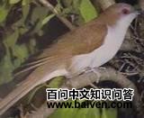 ���޾���