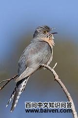 �����ž���