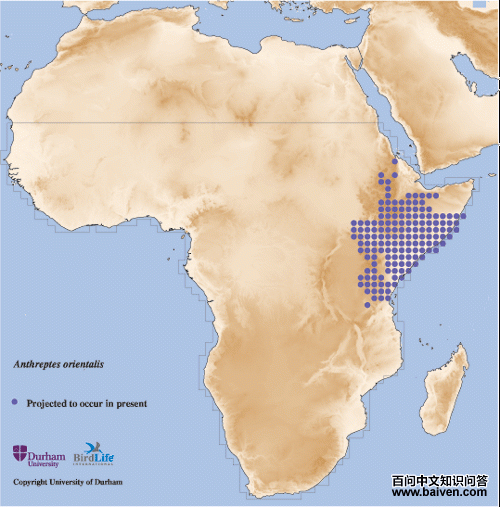 ���ϱ�ʳ���񣺵����ֲ�ͼ