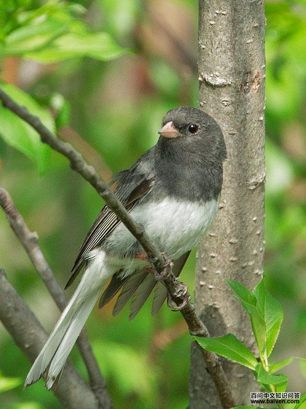 ���۵Ʋ��c��ͼƬ