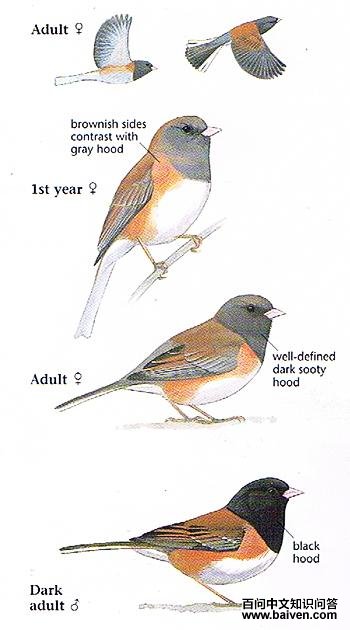 ���۵Ʋ��c����̬����ͼ