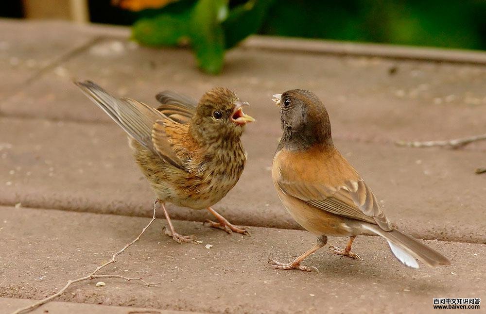 ���۵Ʋ��c�����ո����ͣ������ң�������������