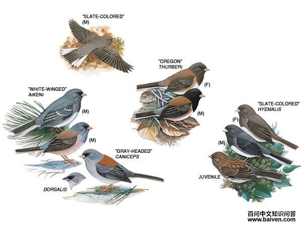 ���۵Ʋ��c