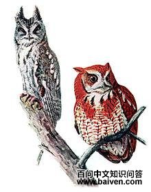 �������^