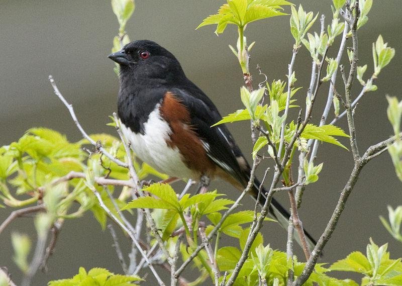 �����c��ͼƬ