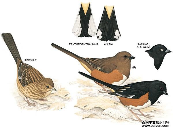 �����c����̬����ͼ