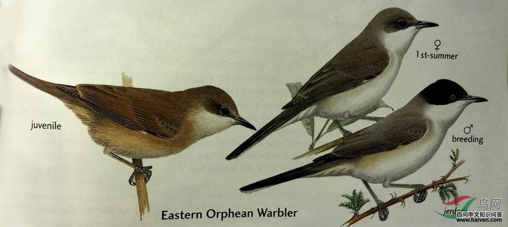 ������ݺ����̬����ͼ