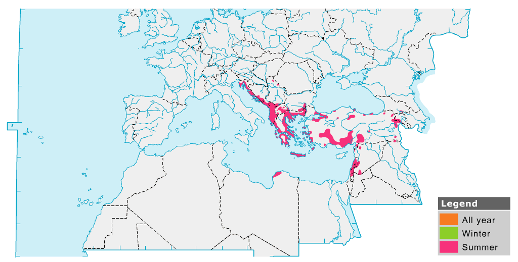 ������ݺ�������ֲ�ͼ