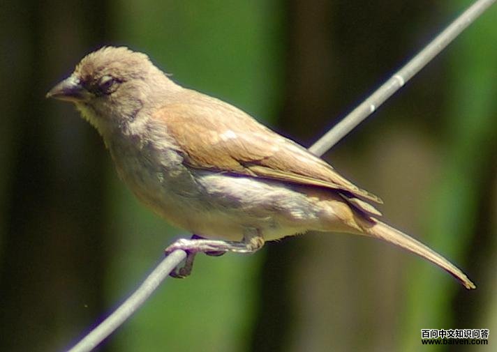 ������ȸ��ͼƬ