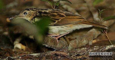 �����ҵ�ͼƬ