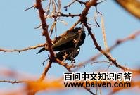 ���Ǿ�����ͼƬ