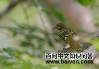 ���Ƕ���