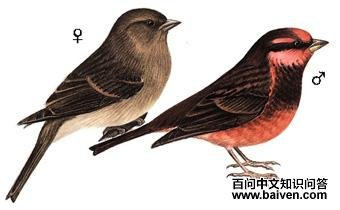 ������ȸ