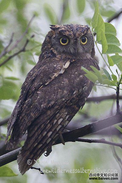 �������^��ͼƬ