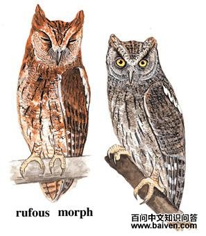 �������^����̬����ͼ