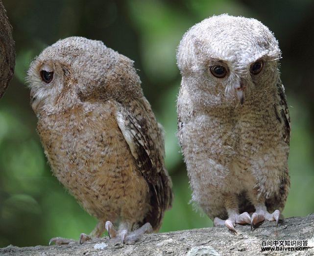 ������^������