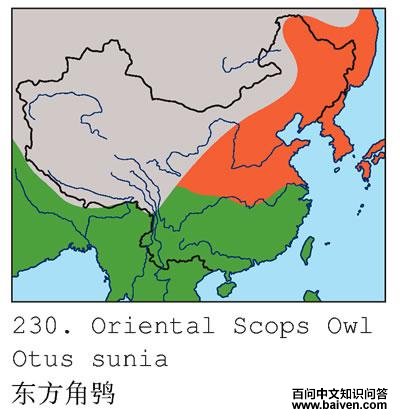 �������^�������ֲ�ͼ