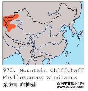 ����ߴզ��ݺ�����ֲ�ͼ