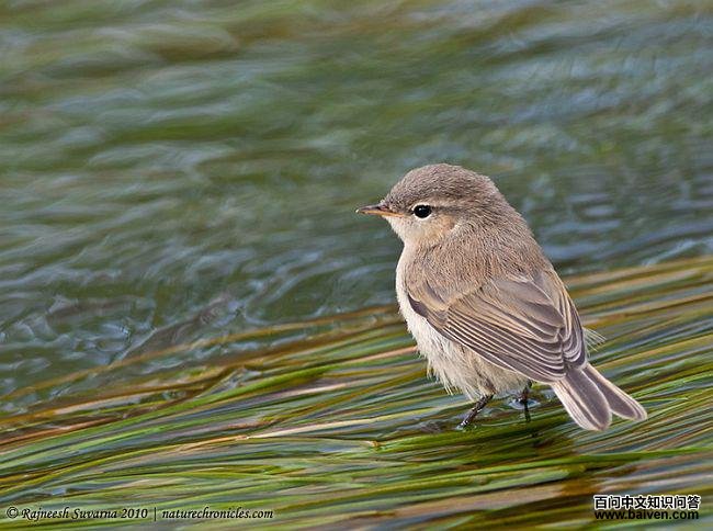 ����ߴզ��ݺ������ӡ��