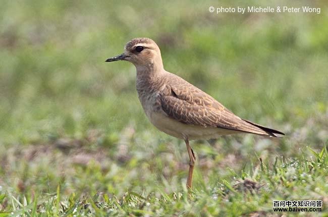 �����a������