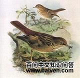 �����ϵ��