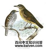 ˹���������