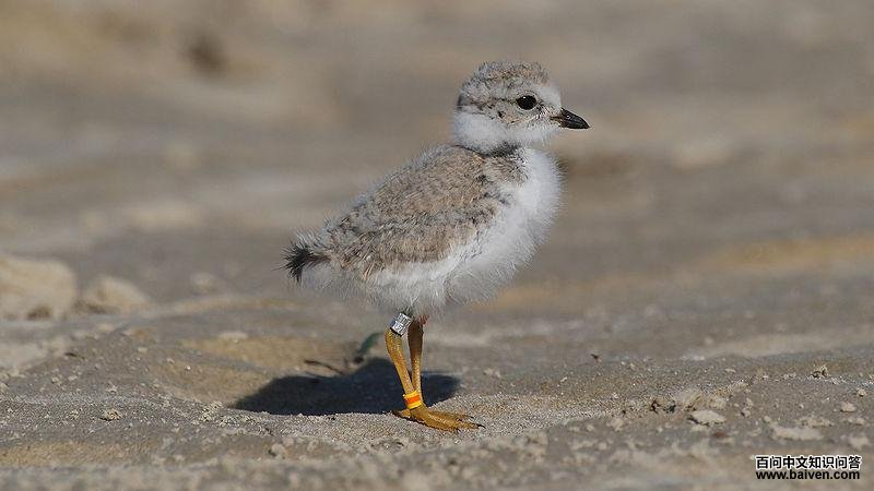 �������������ڵĵ��a