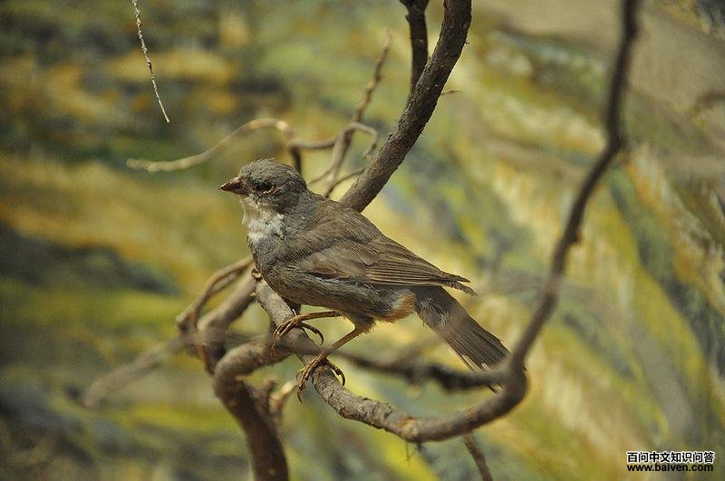 �Ͽ�ȸ��ͼƬ