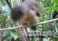 �͵���ݺ��ͼƬ