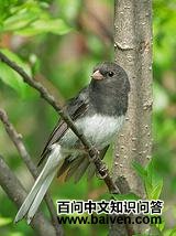 ���۵Ʋ��c