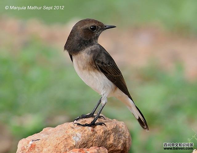 �������S������