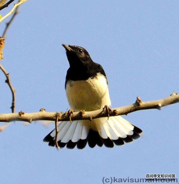 �������S