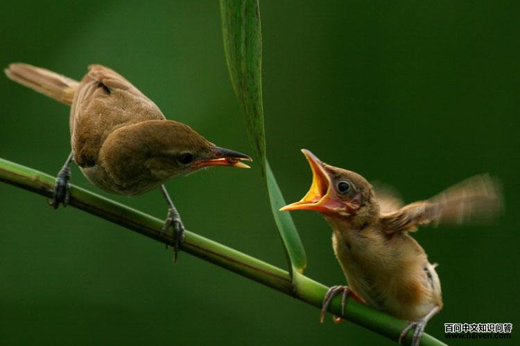 ��������ݺ��ͼƬ