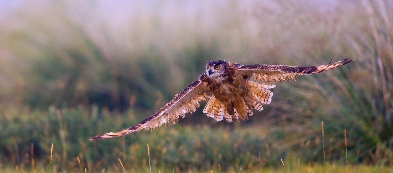 ���^������