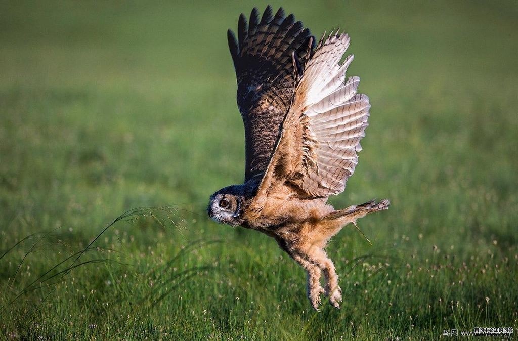 ���^�����