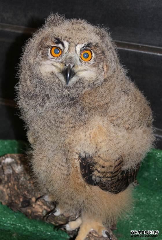 ���^������