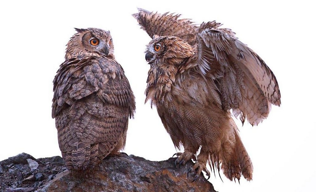 ���^������