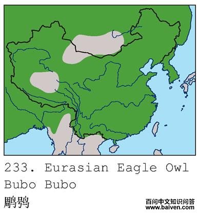 ���^�������ֲ�ͼ