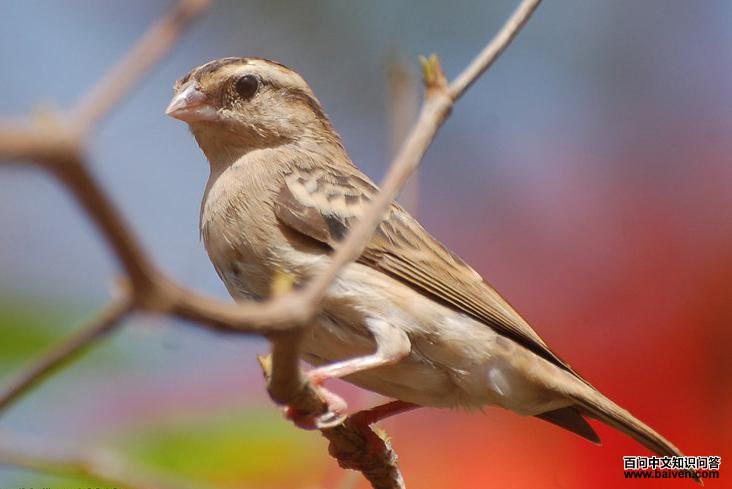 ����ά�����ͼƬ