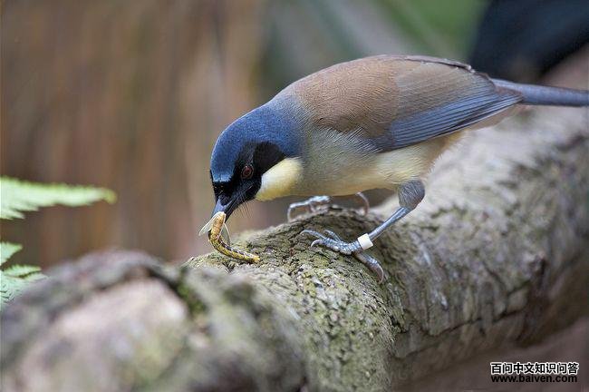 ������̵�ͼƬ