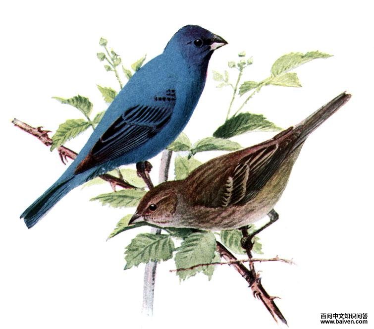 ����c����̬����ͼ