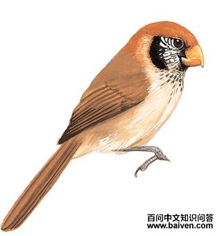 ����ѻȸ����̬����ͼ