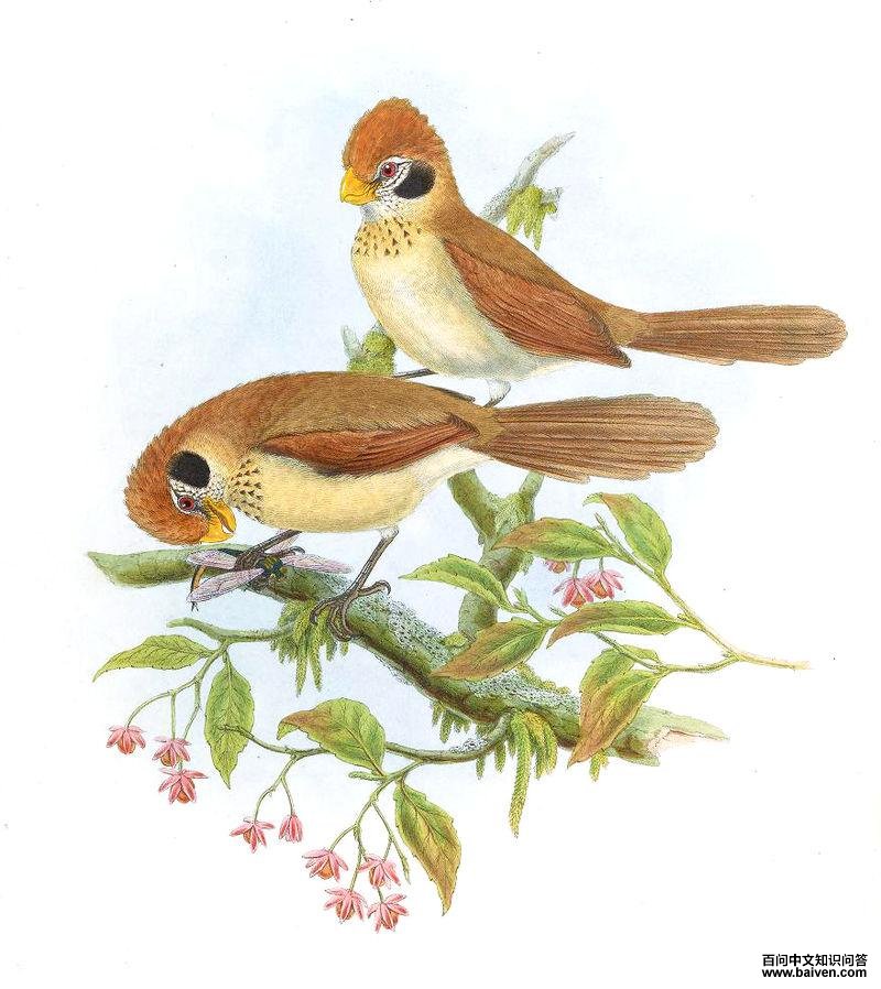 ����ѻȸ����̬����ͼ