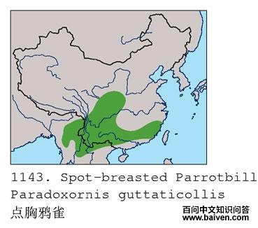 ����ѻȸ�������ֲ�ͼ