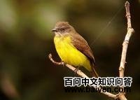 ���ض�����l��ͼƬ