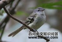 ����͢С���l��ͼƬ